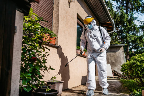 Best Pest Removal Services  in Ishpeng, MI