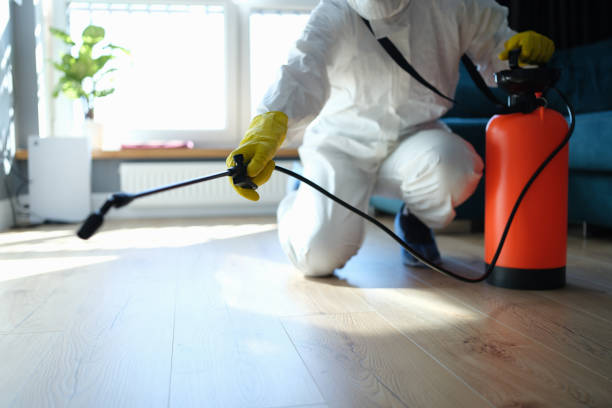 Best Flea Control Services  in Ishpeng, MI