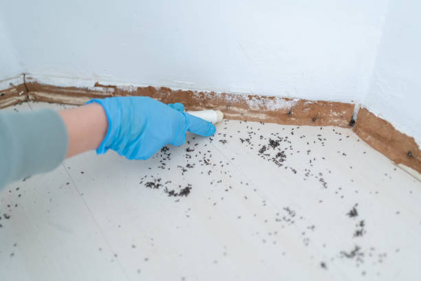 Best Wasp Removal Services  in Ishpeng, MI