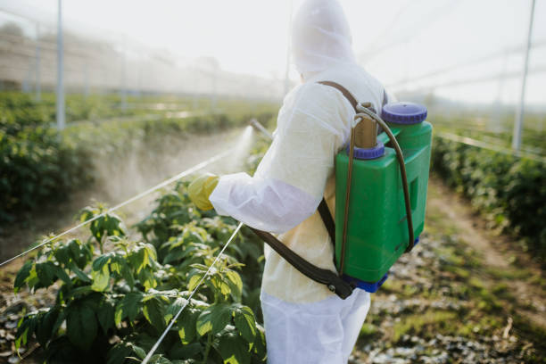 Ishpeming, MI Pest Control Company
